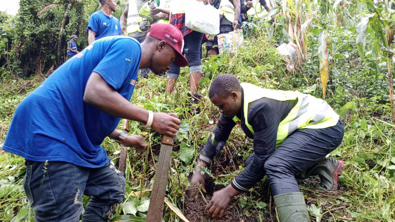 Peace Weavers Planting Trees at the Nkwen Water catchment area