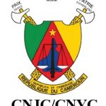 Cameroon National Youth Council Logo